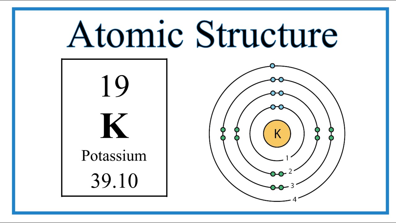 Atomic Structure Bohr Model For Potassium K You