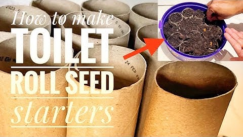 How to make toilet roll seed starters without any cost! #recycle #diy #save #free #london #uk garden