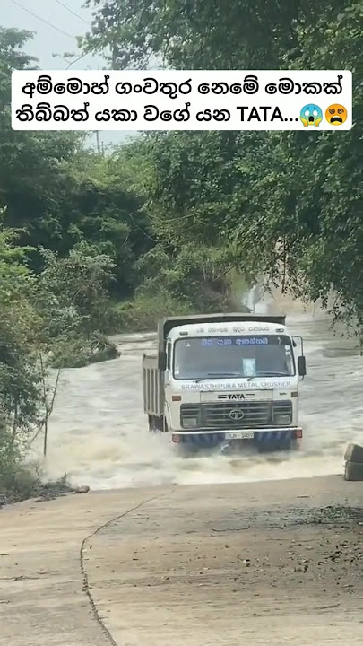 ඇදිලි තමා අනෙහ්...😵😱 #trending #buslover #viralvideo