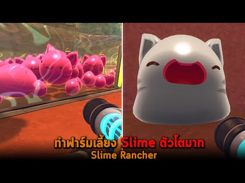 ทำฟาร์มเลี้ยง-Slime-ตัวโตมาก-S