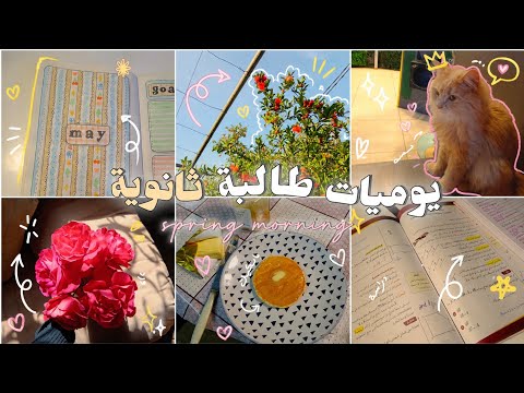 يوم في حياتي في الربيع 🌸 بانكيك، جورنال، ورد، قطط، دراسة والكثير.. 