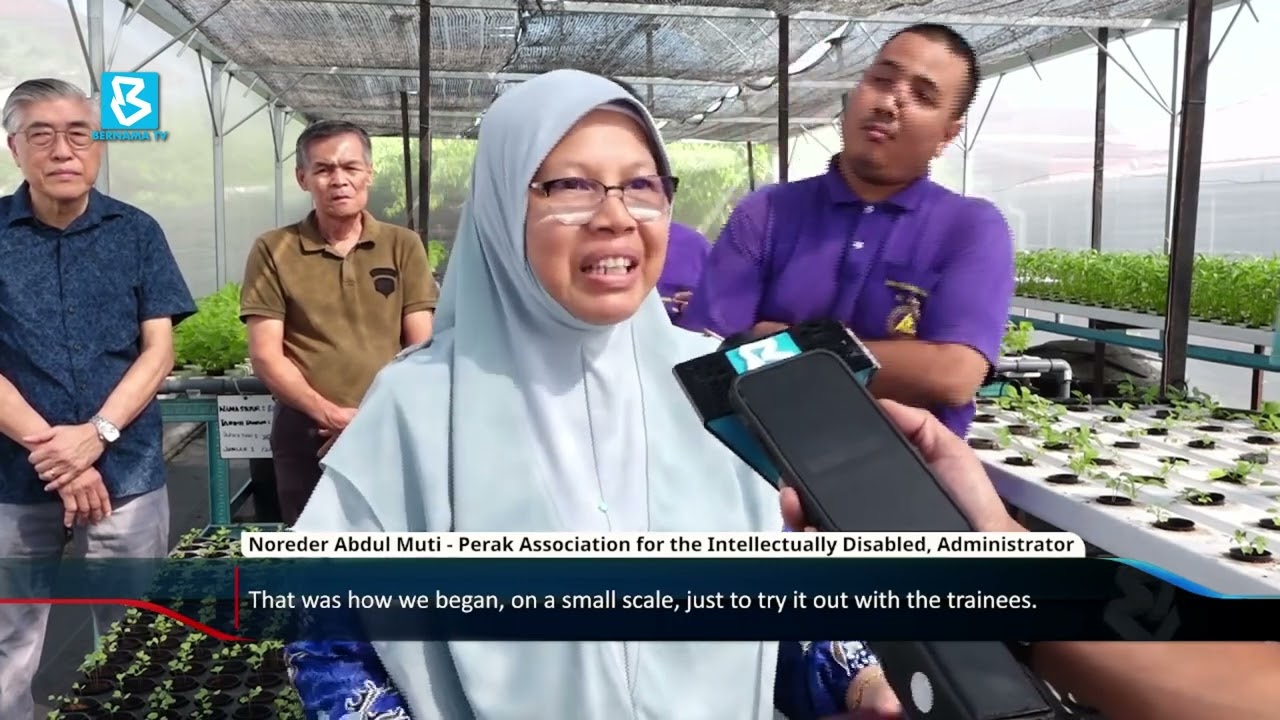 Hydroponic project helps Perak’s intellectually disabled gain self-reliance
