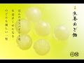 【公式】ひとつぶ 大阪平野飴 生姜味