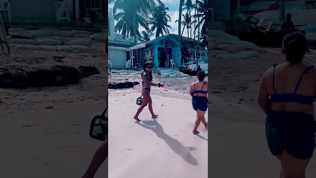 Punta Cana Cortecito Beach and Papaya Tiki Bar