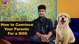 How to Convince Your Parents For DOG : The Ultimate Channel