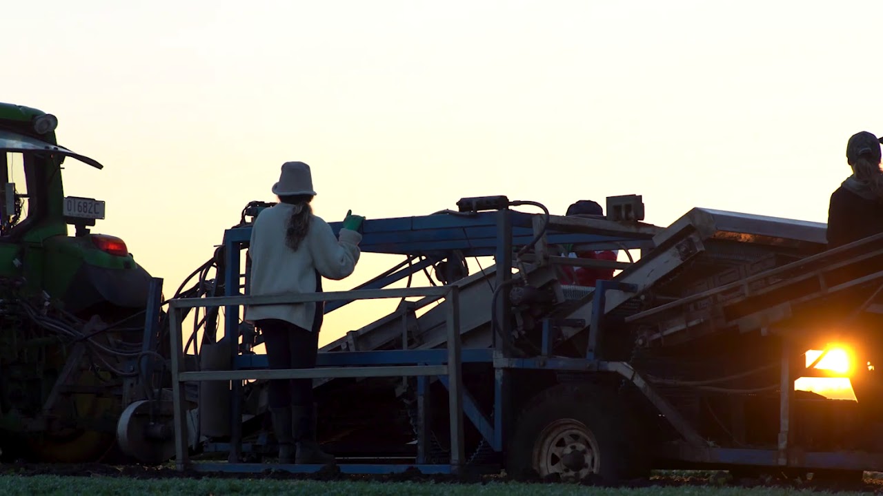 A day on the farm - YouTube