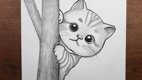 How to draw a Cute🐱cat / Cute cat drawing / how to draw a cat / easy and beautiful cat drawing / cat