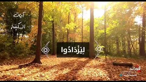 من آيات السكينة ٦/٦ سورة الفتح آية ٤ || القارئ أحمد بن عبد العزيز النفيس