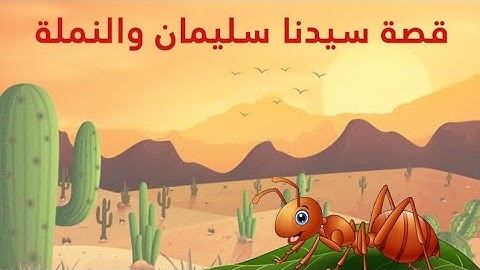 من قصص القرآن الكريم النمل وسيدنا سليمان عليه السلام