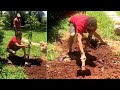 God of Cricket Sachin Tendulkar plants saplings, shares video with message