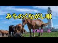 みちのくながし唄    松島進一郎   cover   song-by masu2