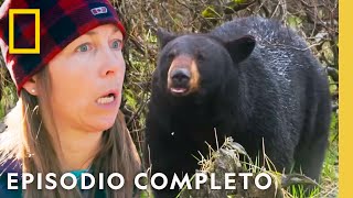 ¡No Despiertes al Oso! (O Te Arrepentirás) | Veterinaria del Yukón | Nat Geo en Español