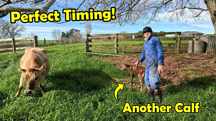 He's Back...Dads Returned Just In Time!!