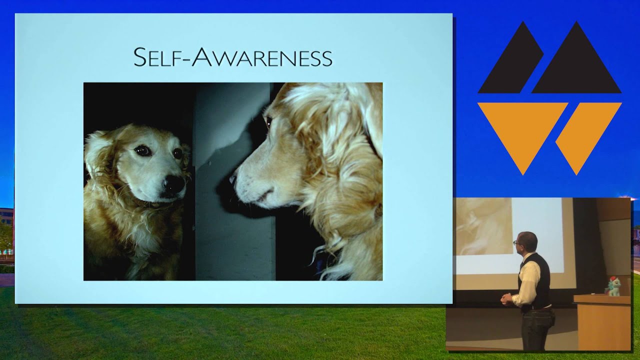 MountainWest Devops 2014 - "DevOps" in a Post-DevOps World by Paul Reed