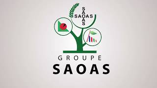 SAOAS V EN03072018