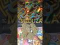 Meduza | Hall of Flame | Clubhouse Drops