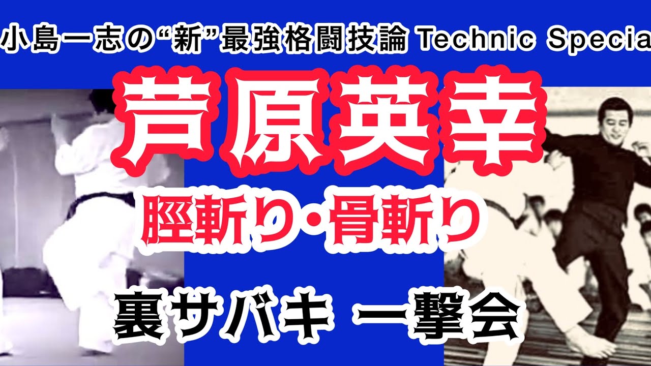 芦原英幸直伝‼️ 〝脛斬り〟“骨斬り”。”裏サバキは一撃会 - YouTube