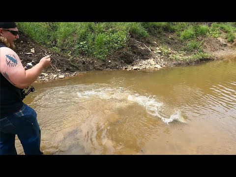 Bowfishing from the Bank w/ Reverse Draw Mini Striker Pistol