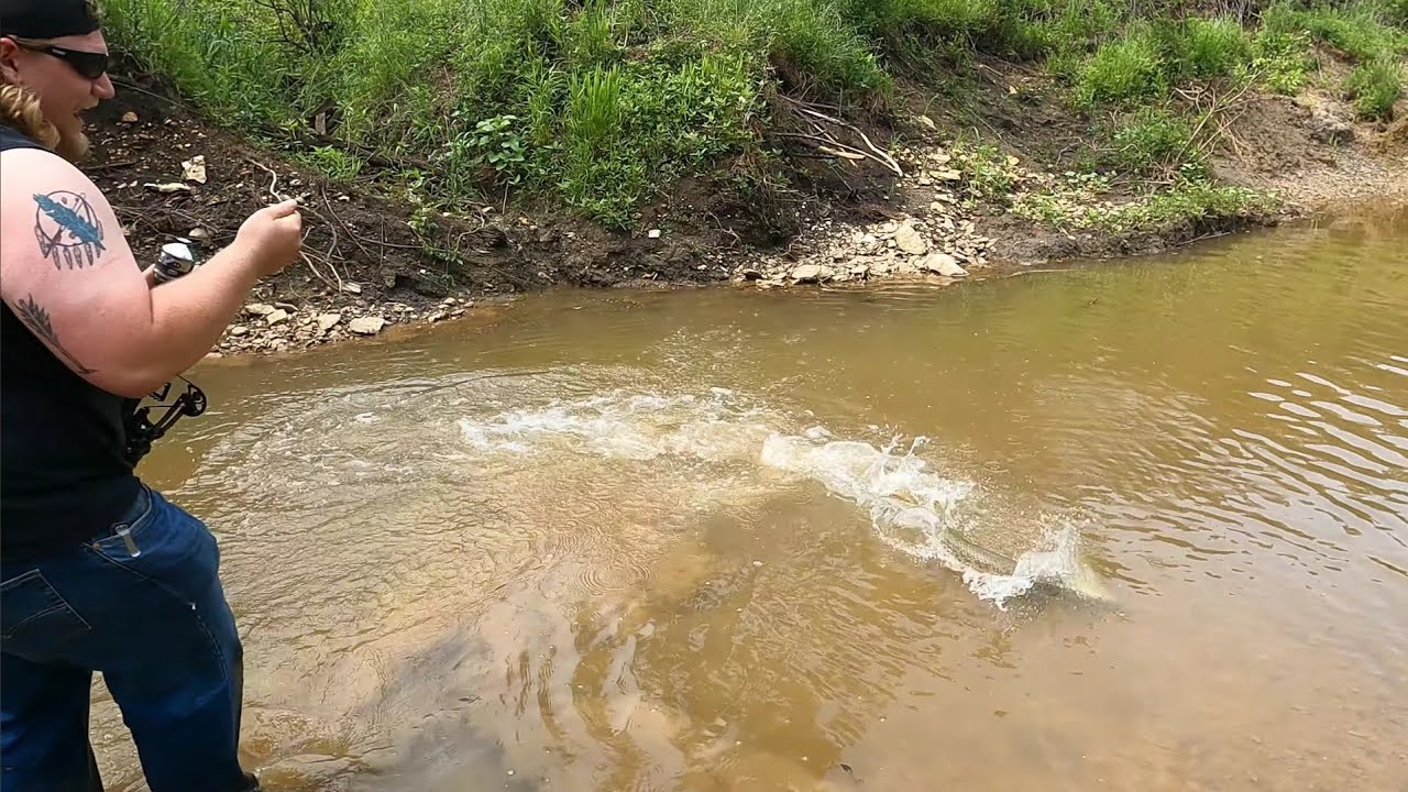 Bowfishing from the Bank w/ Reverse Draw Mini Striker Pistol