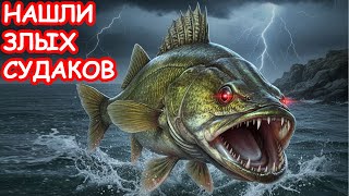 видео: НАШЛИ ЗЛЫХ СУДАКОВ. РЫБАЛКА НА СПИННИНГ картинка: НАШЛИ ЗЛЫХ СУДАКОВ. РЫБАЛКА НА СПИННИНГ