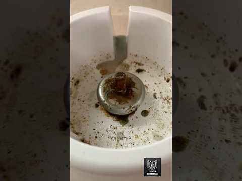 Esto evita que se oxide el cuadrante de la licuadora Oster #viralvideo #hagaloustedmismo #tips