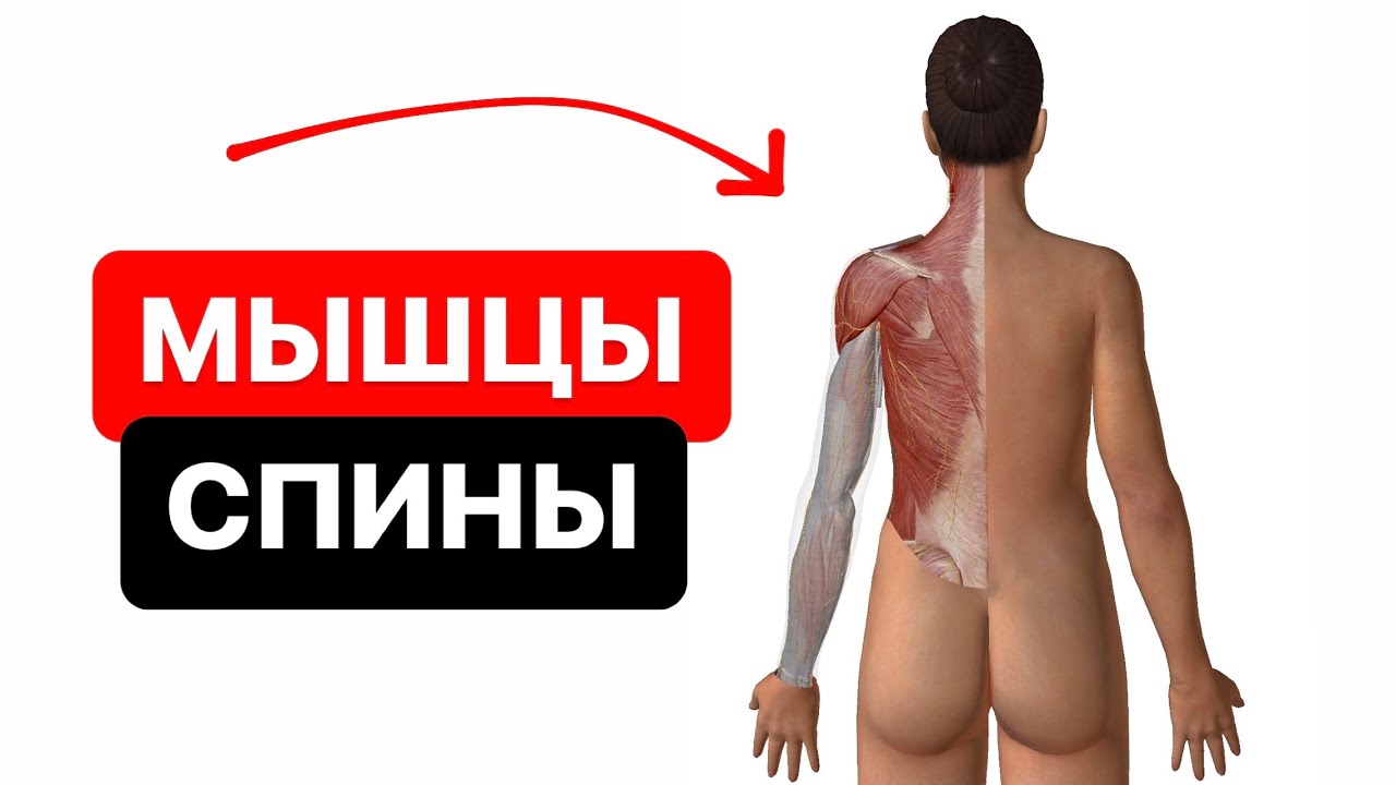 �������� ���� ���������: ����.