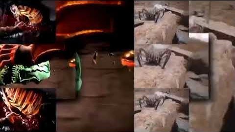 226 Shuric scans with are Slides