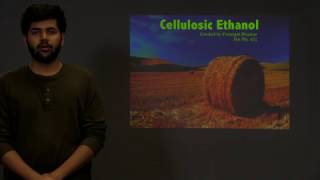 FSc 431 Presentation