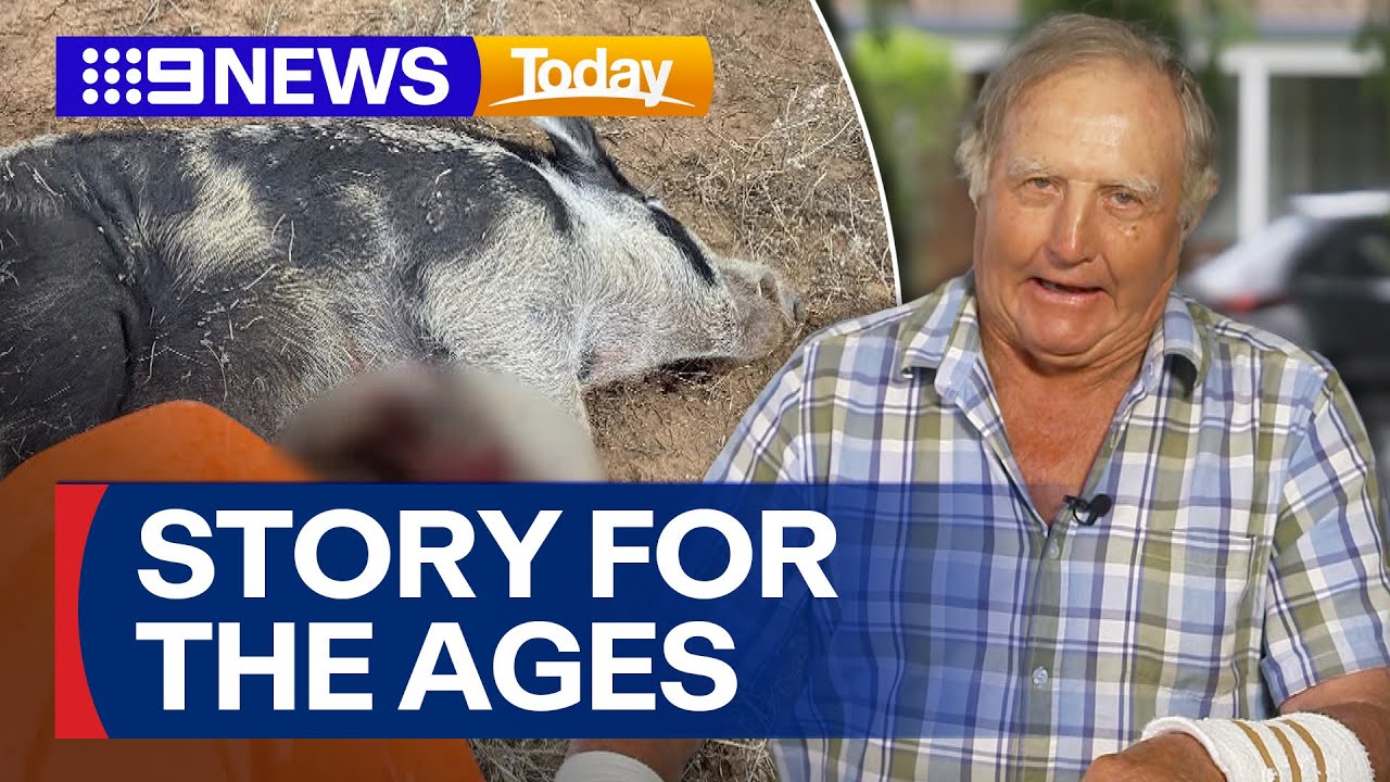 Queensland farmer fights off wild boar in real-life 'Razorback' | 9 News Australia