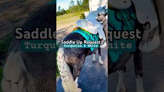 Mini Horse Braid & Saddle Up 💠 Turquoise!
