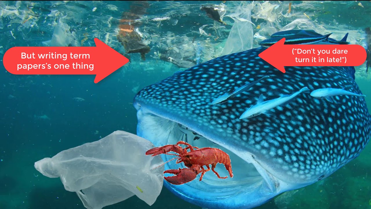 Saving Our Seas -- A Waste Not Want Not Class Melodic-Mnemonic "Parody" that is all too serious!