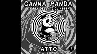 Atto  Canna Panda lerba Della Giovinezza