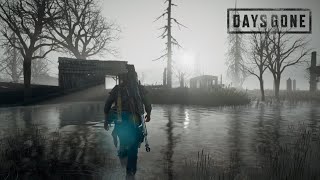 Days Gone Ambient Walk around the Map | Post Apocalyptic Oregon, US