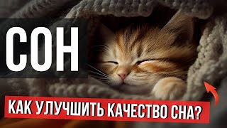 СОН. Как Улучшить Качество Сна. Юрий Шульга. Школа Болотова.