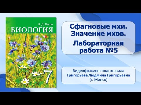 Тема 17. Сфагновые мхи. Значение мхов. Лабораторная работа №5 «Строение кукушкина льна и сфагнума»