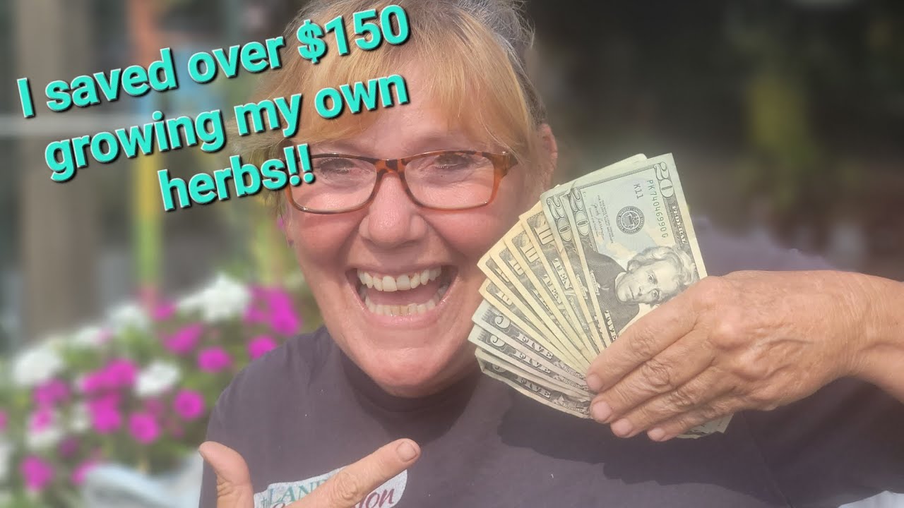 Cutting and Drying Herbs YouTube