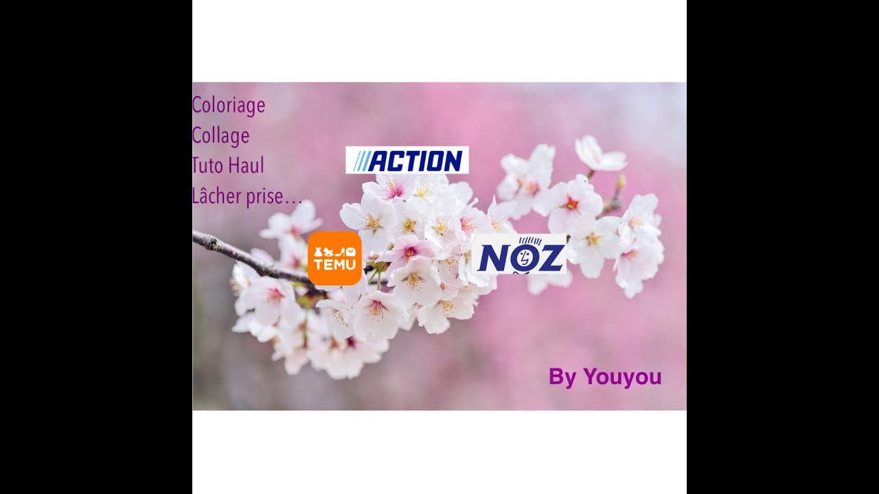 HAUL ACTION NOZ et TEMU J'ose une nouveauté et nouvelle déco...