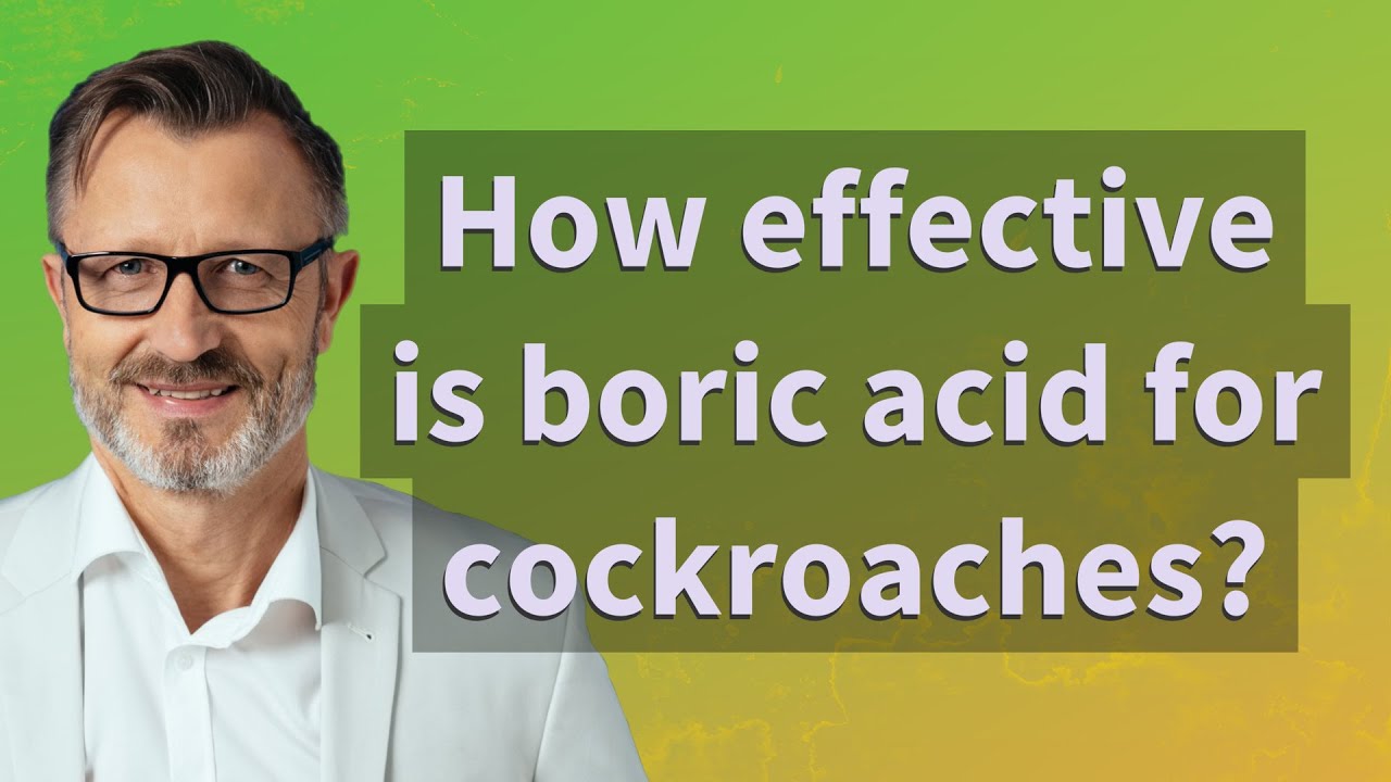 How effective is boric acid for cockroaches? YouTube