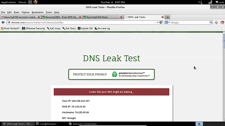 VPN DNS Leak Test