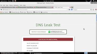 VPN DNS Leak Test