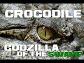 10 Crocodile Facts - Godzilla of the Swamp - Animal a Day