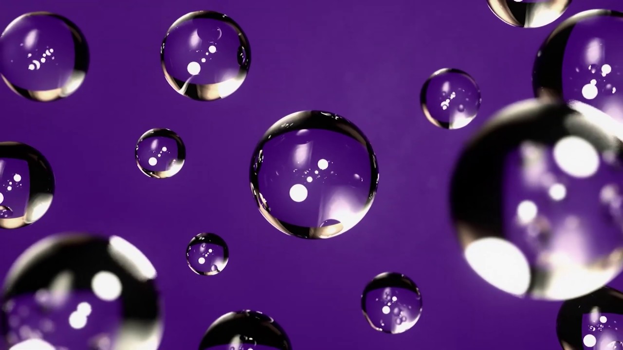 bailley youtube bailley