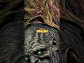 when hulk ate wolverine an he regenerated in his stomach(comic recap/ comic explained)