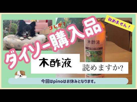Pino日記 ガーデニング用品のダイソー購入品 レビューして 使用してみた ダイソーのガーデニング用品凄く良いもの多いですね 木酢液はもくさくえきと読みます 広葉樹を燻って作られています Youtube