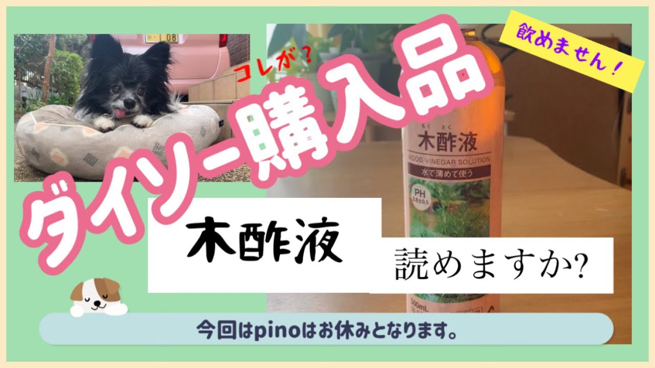Pino日記 ガーデニング用品のダイソー購入品 レビューして 使用してみた ダイソーのガーデニング用品凄く良いもの多いですね 木酢液はもくさくえきと読みます 広葉樹を燻って作られています Youtube Pino日記 ガーデニング用品のダイソー購入品 レビューして 使用してみた ダイソーのガーデニング用品凄く良いもの多いですね 木酢液はもくさくえきと読みます 広葉樹を燻って作られています Youtube