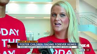 Mass adoptions in Collier County