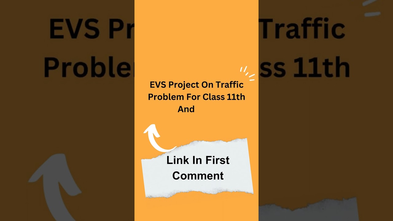 EVS Project On Traffic Problem For Class 11th And 12th
