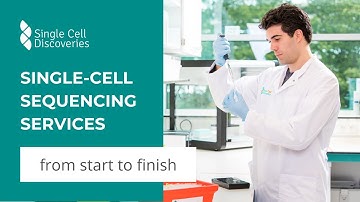 Single Cell Discoveries - How We Work