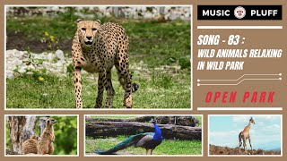 Song - 83 | Wild Animals Relaxing in Wild Park | MUSIC PLUFF