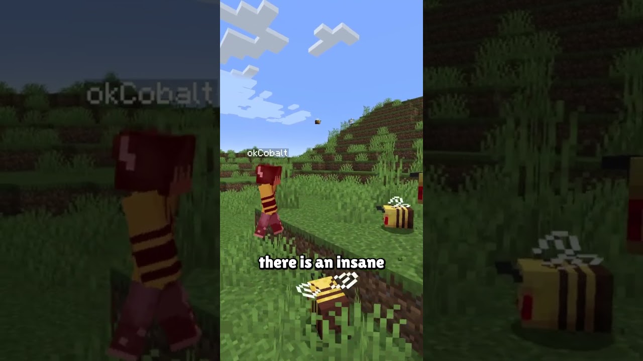 The New Hardest Minecraft Speedrun?